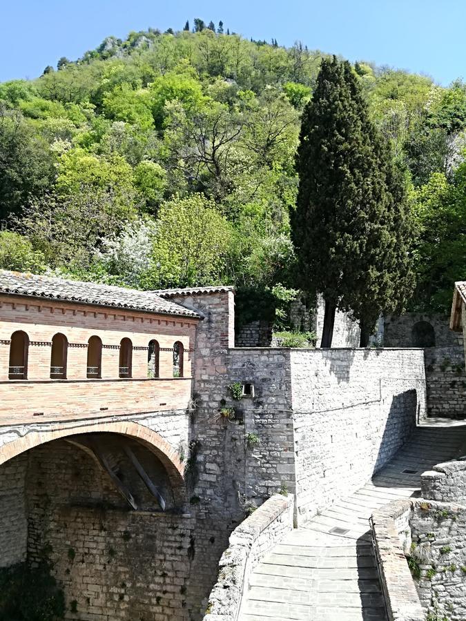 Civico 10 Hotel Gubbio Exterior foto